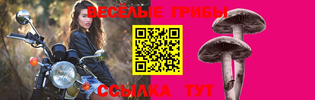 Галлюциногенные грибы GOLDEN TEACHER Крымск